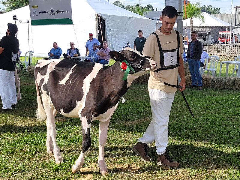 Cotribá terá novidades na Expointer para associados e visitantes
