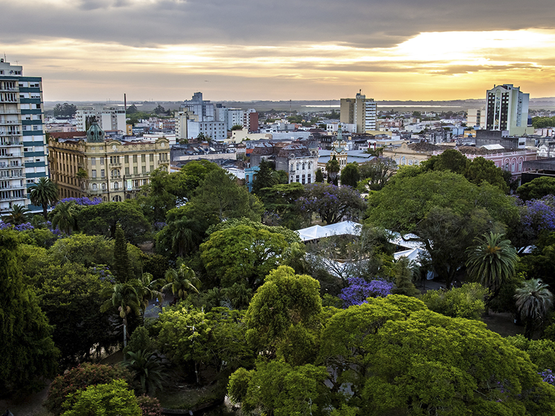 Pelotas sediará 15° Fórum Gaúcho de Arborização Urbana