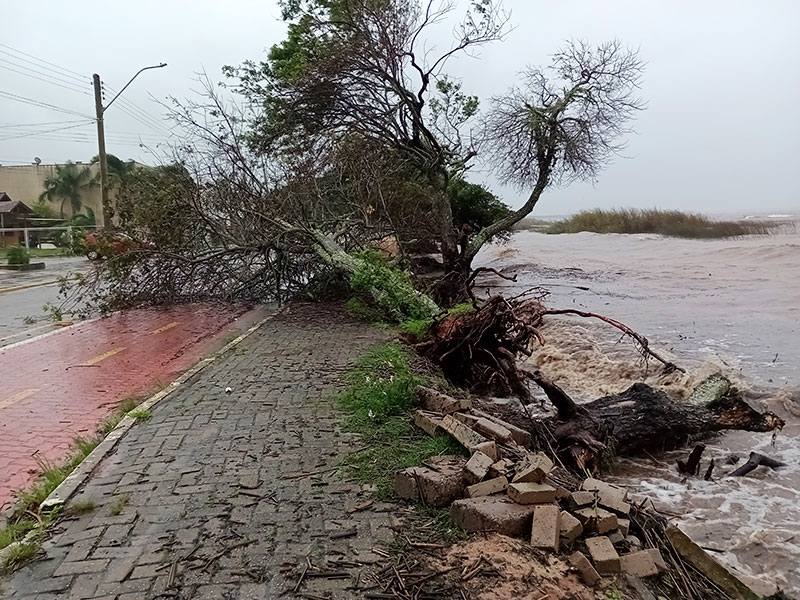 Defesa Civil de São Lourenço do Sul está em alerta com aumento no nível da Lagoa dos Patos e Arroio São Lourenço