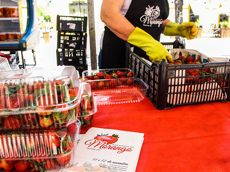 Pelotas: Feira Municipal do Morango começa dia 16 deste mês