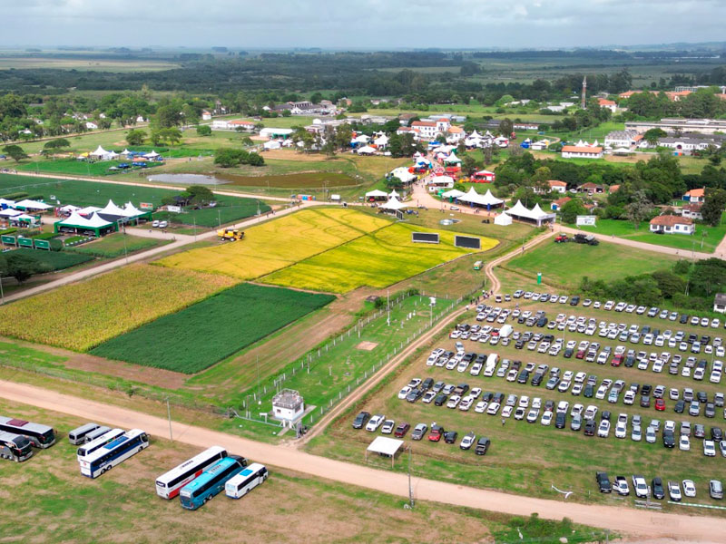 ABERTURA-COLHEITA-ARROZ-AEREA