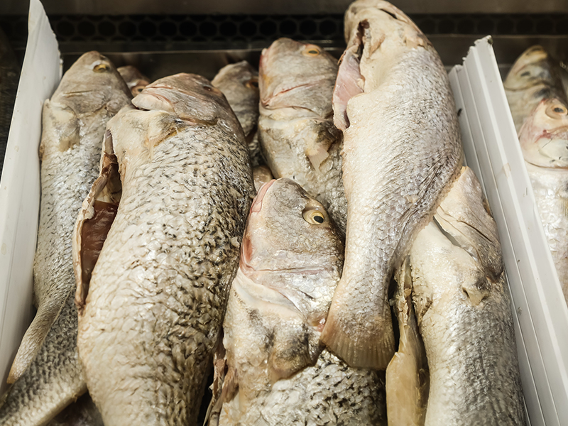 Pelotas: Vendas de pescado na Semana Santa registram queda acentuada