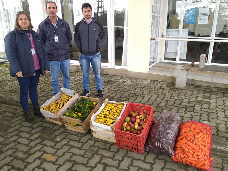 Emater/RS-Ascar auxilia famílias afetadas pelas inundações em Pelotas