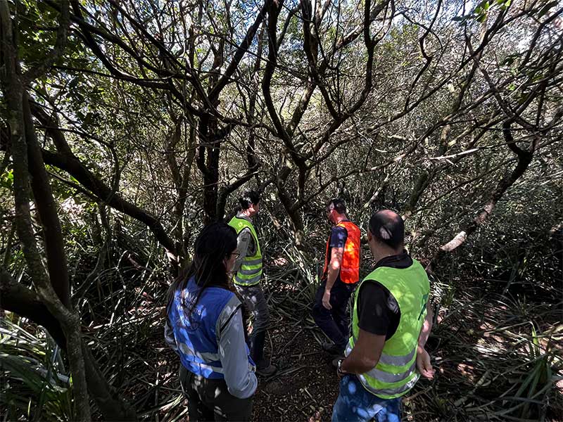 Ecosul é pioneira no monitoramento de fauna viva em concessão rodoviária