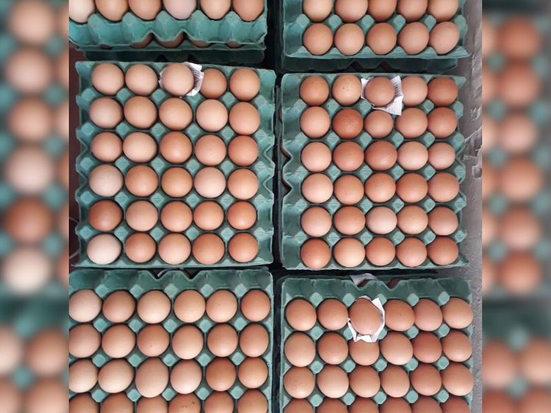 Agroindústrias são destaques em Morro Redondo