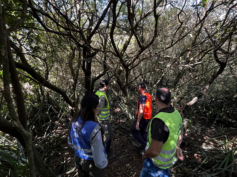 Rodovias da Ecosul são cruciais na preservação do Bioma Pampa, afirma IBAMA