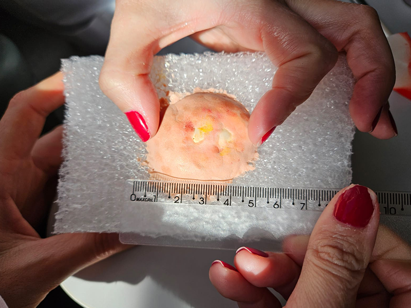 Pelotas: Atividades de moulagem no SIMLAB da UCPel permitem aprendizado focado na prática