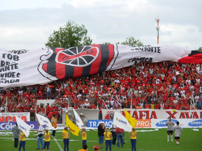 brasildepelotas