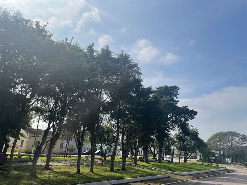 Primeiro fim de semana de Festejos Farroupilhas será sem chuva na região