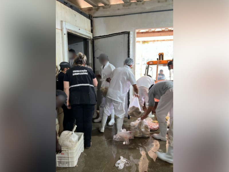 Operação Verão Total: mais de 12 toneladas de carne apreendidas em entreposto clandestino de Pelotas