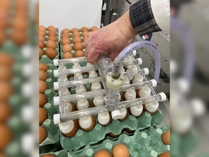 Pelotas: Serviço de Inspeção Municipal completa 30 anos e fiscaliza 38 empreendimentos locais