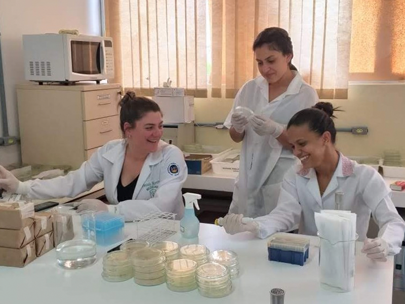 Pronera tem inscrições abertas para Medicina Veterinária na Universidade Federal de Pelotas