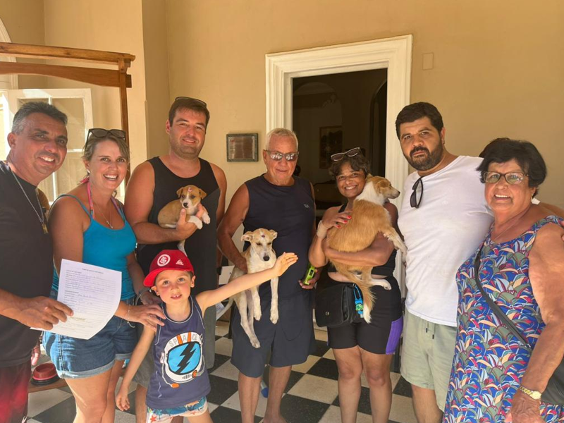 Rio Grande: 16 filhotes de cães têm novo lar após Feirinha de Adoção no Cassino