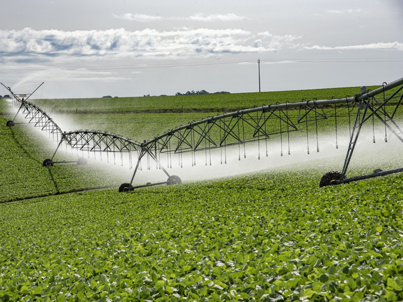 Programa de Irrigação, que vai ajudar na mitigação da estiagem, está com edital aberto para receber projetos