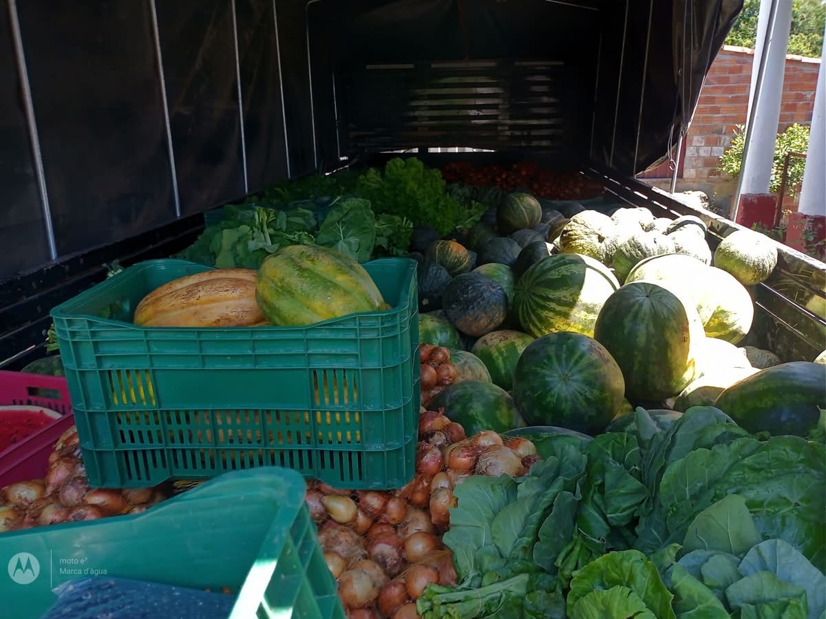 Entrega extra de cestas de hortifruti beneficia famílias de Cerrito