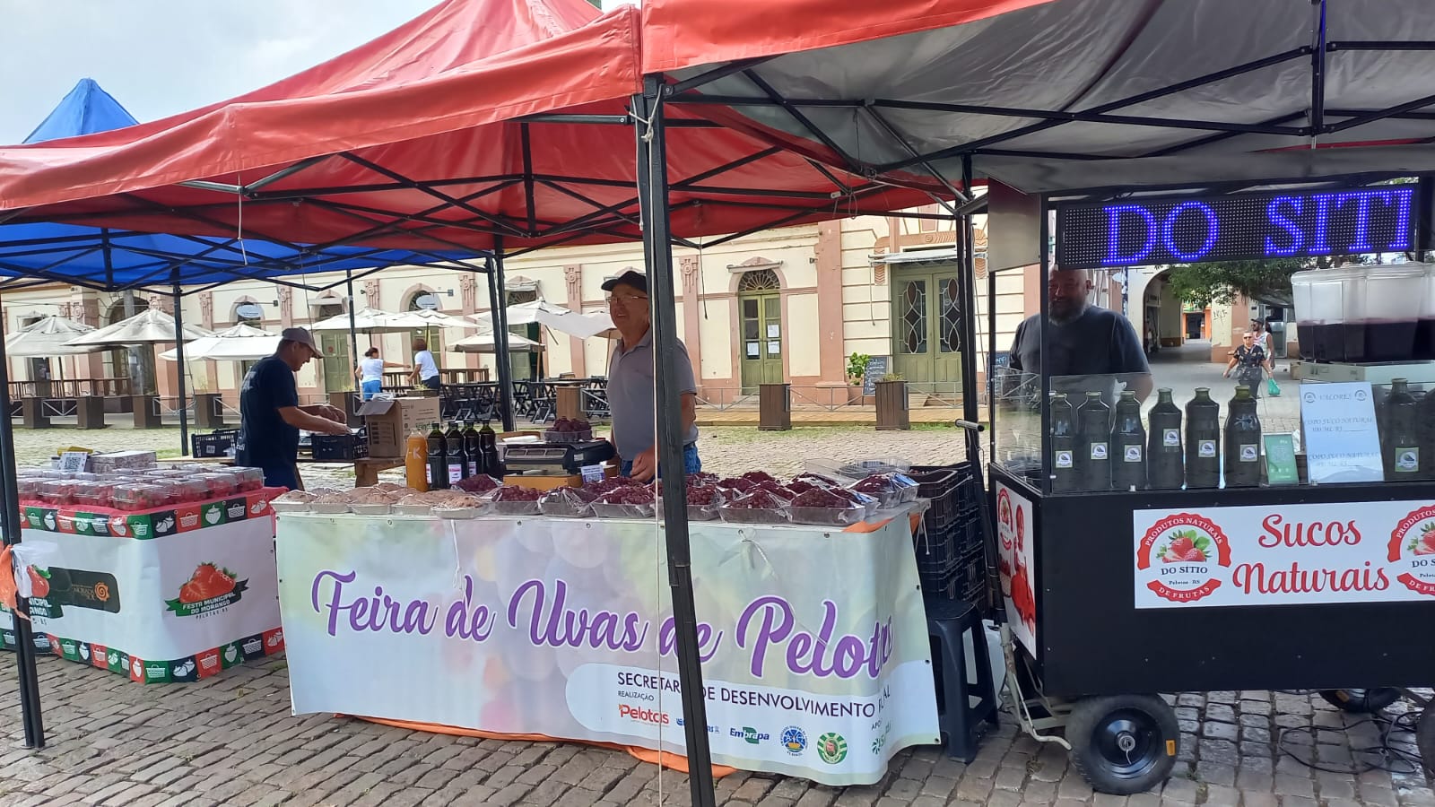Feiras da Uva e do Morango de Pelotas serão prorrogadas até o dia 21