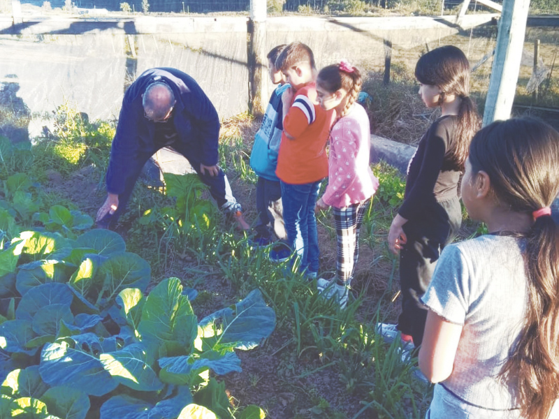 Herval: Projeto de horta escolar valoriza a alimentação saudável e os saberes do Campo