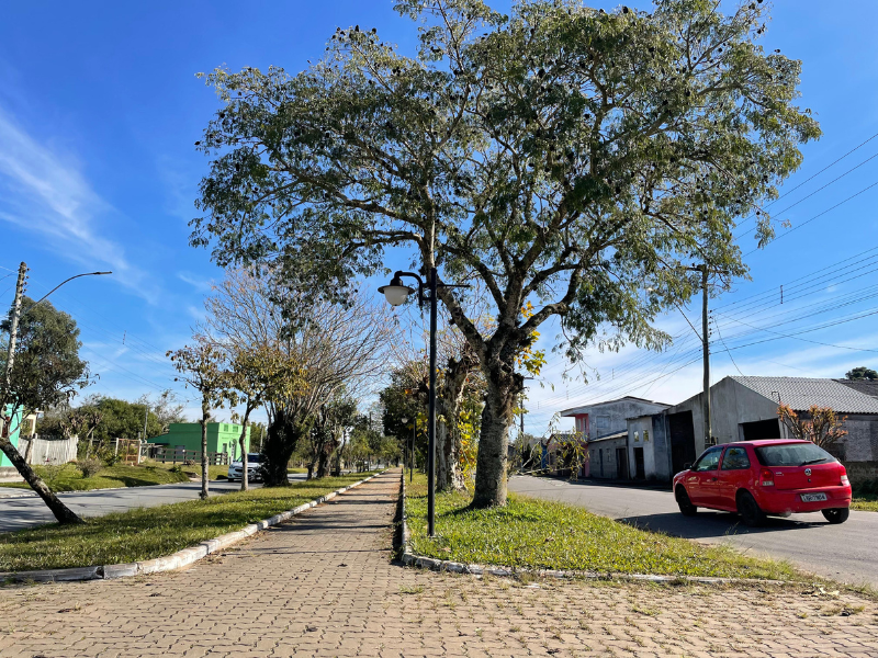 Sol predomina e frio diminui, mas segue persistente neste fim de semana na Zona Sul
