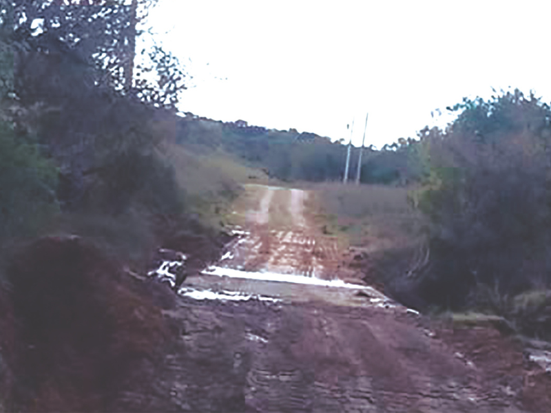 Design sem nome - 2025-08-15T113958.226