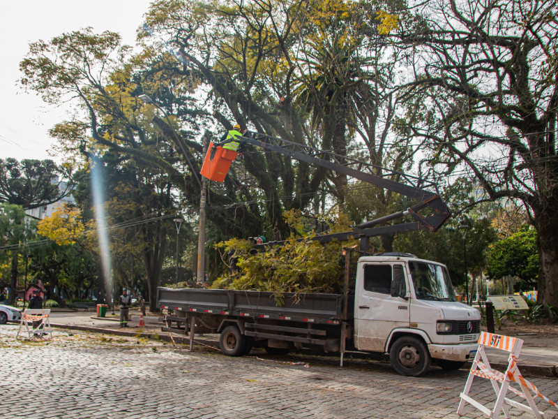Secretaria de Qualidade Ambiental realiza manejo arbóreo em áreas centrais de Pelotas