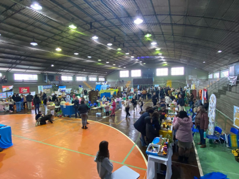 Feira Municipal de Ciência e Tecnologia de Canguçu reúne mais de 200 estudantes