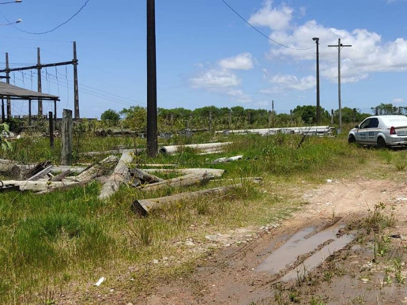 Ministério Público do RS firma acordo de não persecução penal com a CEEE Equatorial por crime ambiental em Arroio Grande