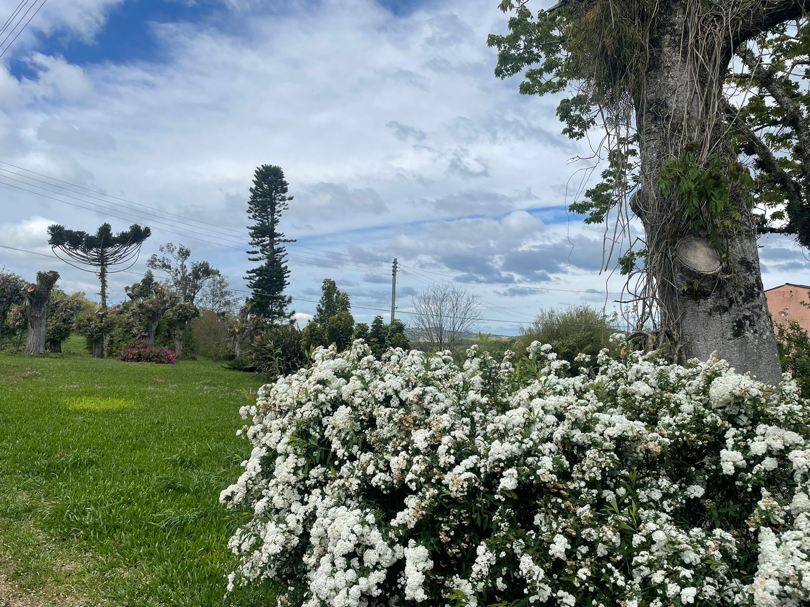 Frio ganha força e mínima pode chegar a 2°C nos primeiros dias de Primavera na Zona Sul