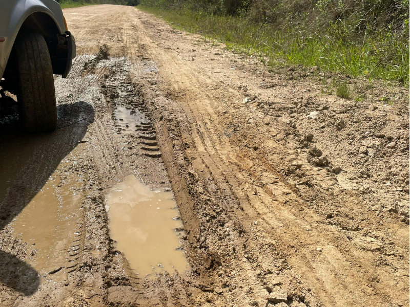 Audiência Pública em Pedro Osório discute melhorias na ERS-704 com foco no escoamento da produção agrícola