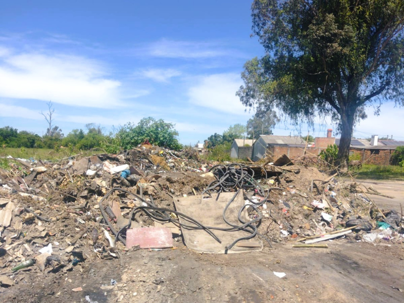 Em um dia, Prefeitura de Pelotas recolhe 256 toneladas de lixo irregular no bairro Areal