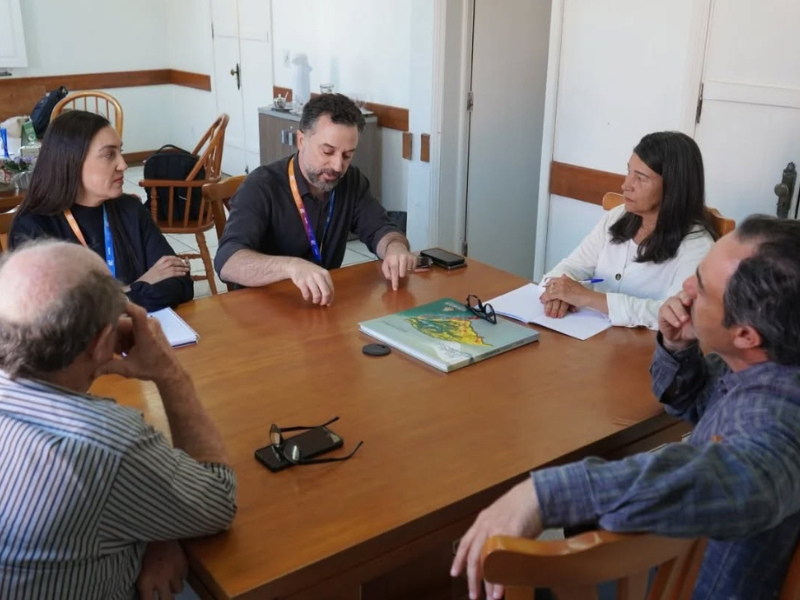 Prefeitura de Pedras Altas busca soluções para constantes quedas de energia na zona rural