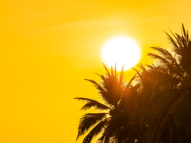Semana de calor predomina na Zona Sul e tempo favorece programação para a virada