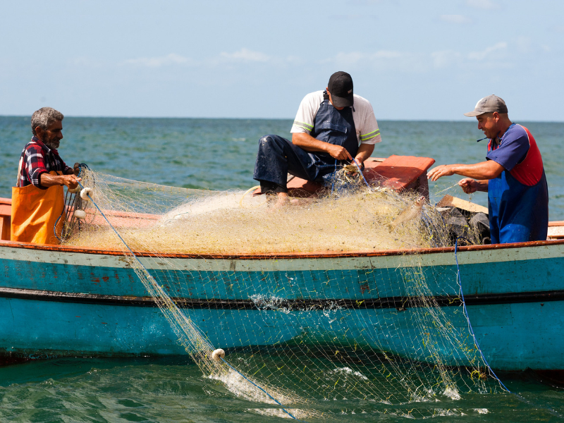 Pescadores da região recorrem à Justiça para garantir pagamento do seguro-defeso