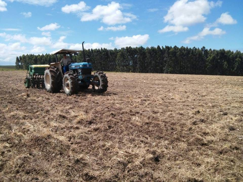 Nova rede de abastecimento de água será implantada na zona rural de Pedro Osório