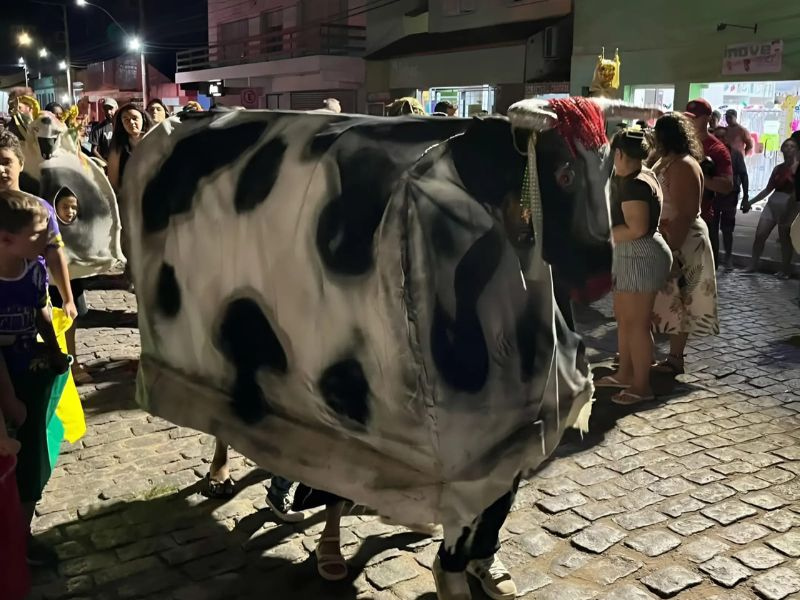 Foto redimensionada (98)