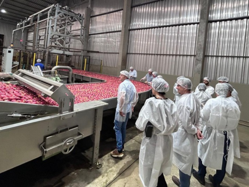 Missão de Cuba avalia produção no RS para possível importação de maçã brasileira