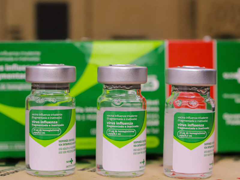 Rio Grande do Sul recebe novo lote de vacinas contra gripe