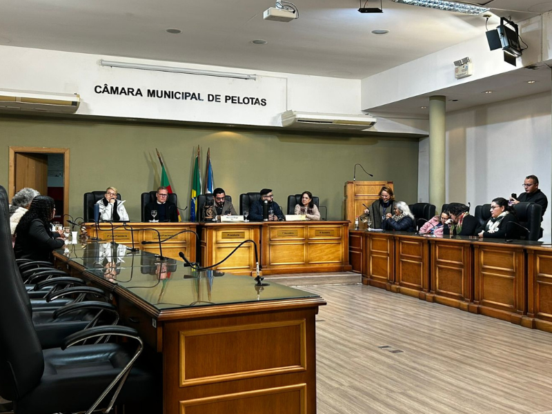 “Educação não pode ser medida paliativa, precisa ser solução”: audiência pública debate falta de profissionais nas escolas municipais de Pelotas