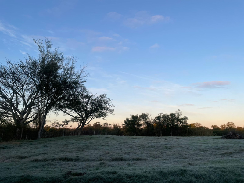 Frio intenso mantém temperaturas próximas de zero e marca a última semana do outono na Zona Sul