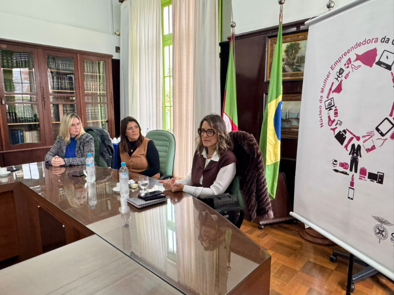 Simone Leite compartilha experiências com Núcleo da Mulher Empreendedora em Rio Grande