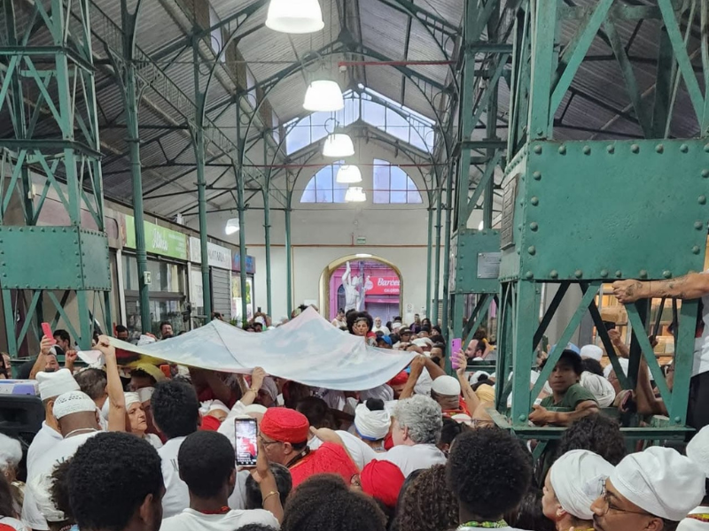Foto redimensionada (6)