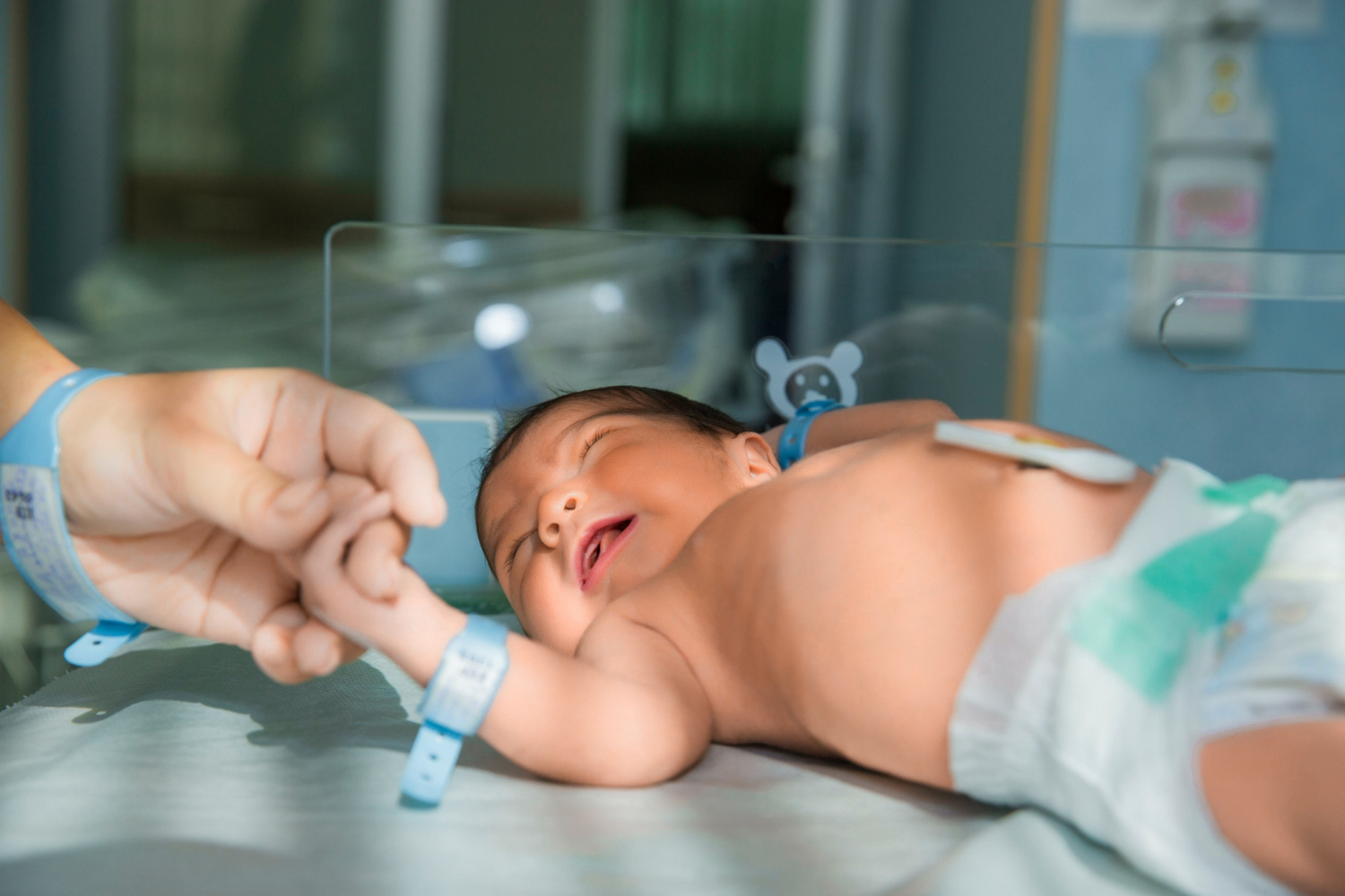 HE-UFPel recebe projeto nacional para qualificar assistência neonatal