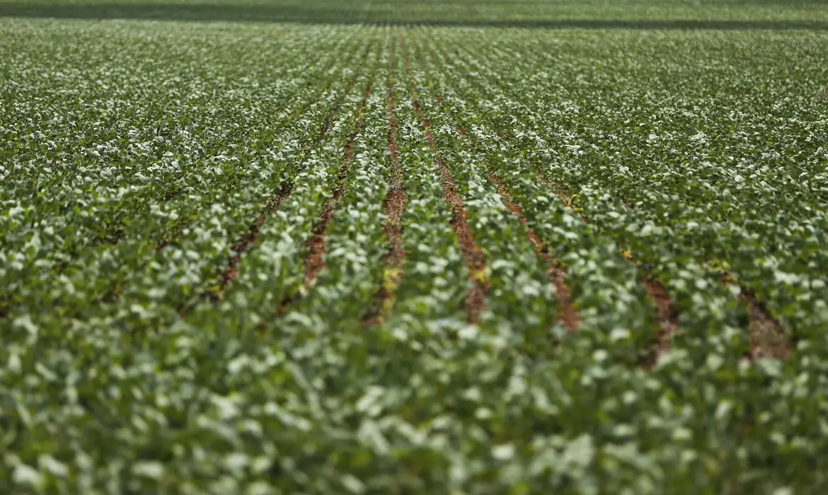 Governo e bancada do agro seguem sem acordo sobre renegociação de dívidas rurais