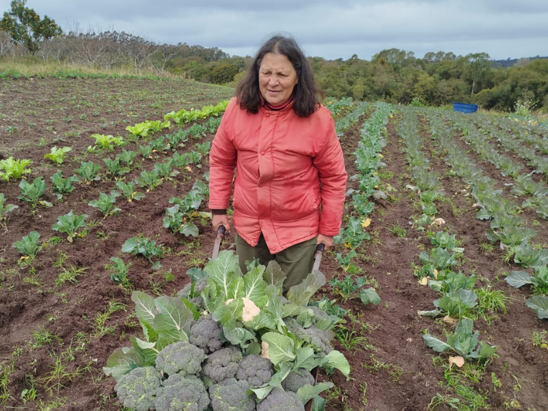 Agricultora torna propriedade referência em agroecologia há mais de três décadas em Canguçu