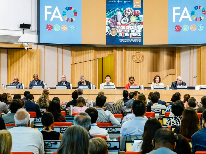 Brasil continua fora do Mapa da Fome, aponta relatório da ONU