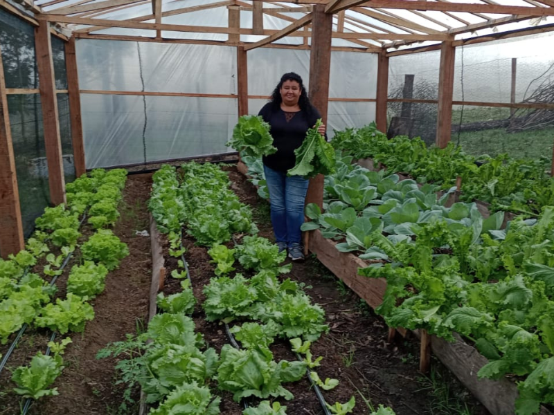 Liderança feminina impulsiona a agricultura familiar em Pinheiro Machado
