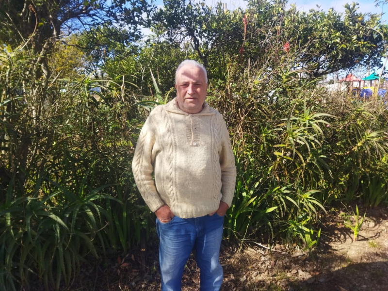 Amor pelas abelhas mantém tradição de mais de 20 anos em Piratini