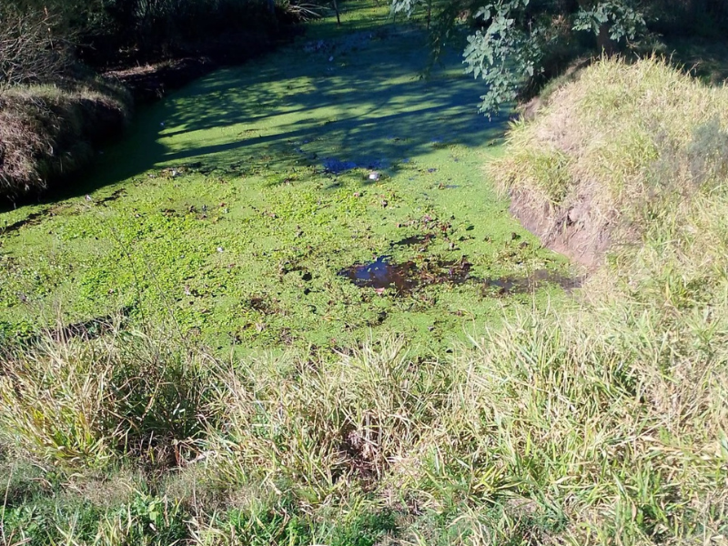 Idoso é resgatado após cair em córrego nas proximidades do trevo de acesso a Arroio Grande